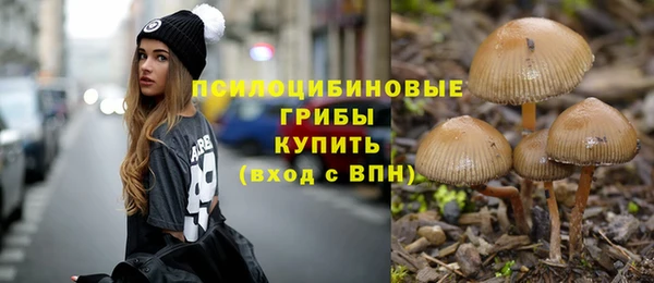 a pvp Майский