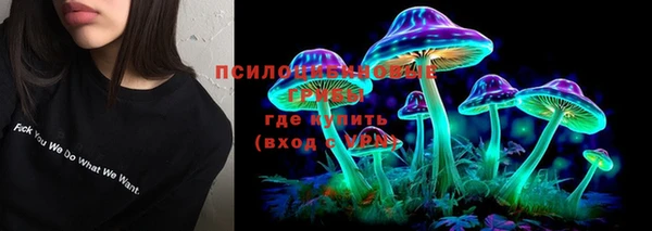 стафф Семёнов