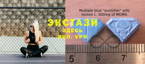 крисы Магас