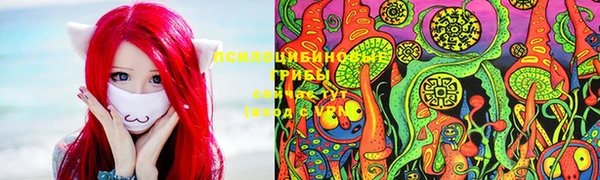 крисы Магас