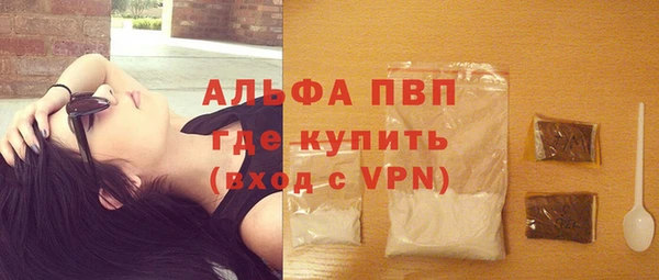 крисы Магас
