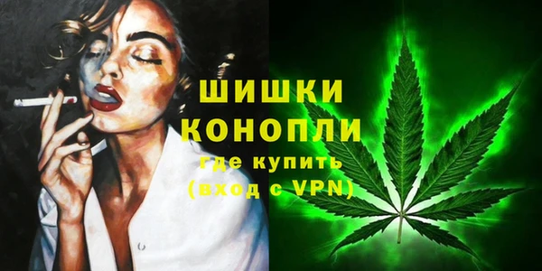 крисы Магас