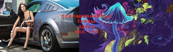 амф Россошь
